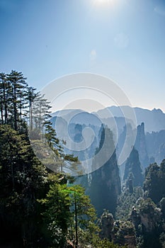 Hunan Zhangjiajie National Forest Park Huangshizhai peaks