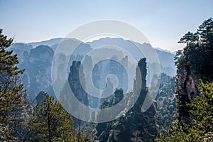 Hunan Zhangjiajie National Forest Park Huangshizhai peaks