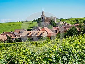 Hunawihr village and surrounding vineyards, Alsace, France