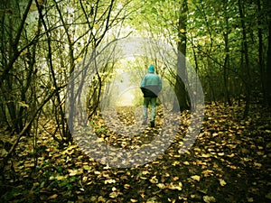 Hunched man is walking in colorful forest in autumn mist