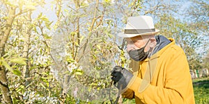 Hunched old man in mask and gloves against trees in blossom