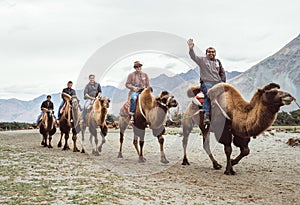 Hundar village in Leh district , Jammu and Kashmir, India - August 21, 2016: Tourists ride the unique camels of the highest