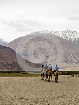 Hunder is a village in Leh district of Ladakh, India famous for Sand dunes, Bactrian camels