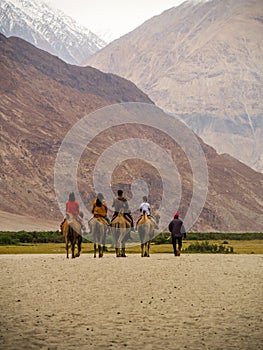 Hunder is a village in Leh district of Ladakh, India famous for Sand dunes, Bactrian camels