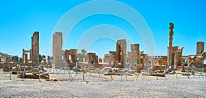 The palaces of Persepolis, Iran photo