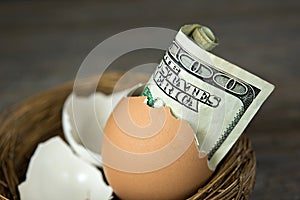 Hundred dollar bill in brown egg shell
