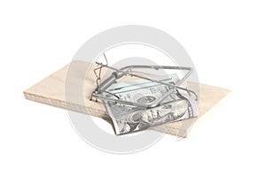 Hundred dollars in a mousetrap isolated on white