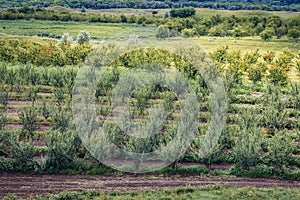 Hundred Hills area in Moldova