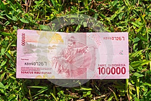 Hundred thousand rupiah paper money on green grass