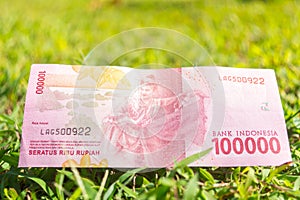 Hundred thousand rupiah paper money on green grass