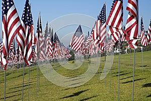 Hundreds of American Flags