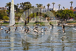 Hundreds of birds in flight over the rippling lake water surrounded by lush green palm trees and green grass, purple trees