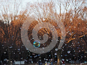 Hundreds of bubbles caught in the park sunlight just about to burst ...