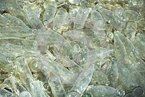 Hundreds pile of empty bottles in a glass recycling facility.