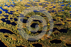 Hundreds of small bog lakes in Estonian peatland