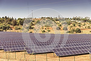 Hundreds of solar panels can be seen from the Via do Infante road near Lagos