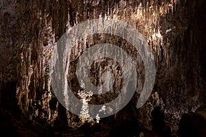 Hundreds of Stalactites Cling to the Ceiling of Carlsbad Caverns