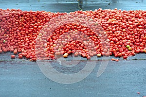 Hundreds Of Tomatos Piled High For Food Fight At Event