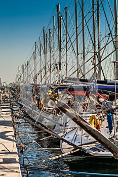 Hundreds of Yachts at Dock