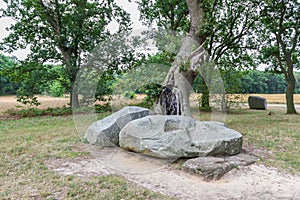 Hunebed D22 or Dolmen D22, Steenakkerweg Bronneger, municipality of Borger-Odoorn