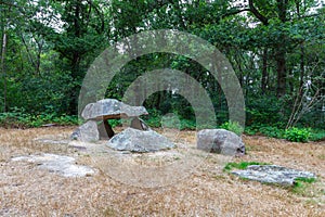 Hunebed D23 or Dolmen D23, Steenakkerweg Bronneger, municipality of Borger-Odoorn