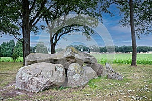 Hunebed D29 or Dolmen D29, Buinen, municipality of Borger-Odoorn