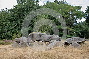 Hunebed D41 or Dolmen D41, Emmen Noord municipality of Emmen