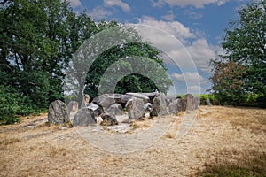 Hunebed D50 or Dolmen D50, Noord-Sleen municipality of Coevorden