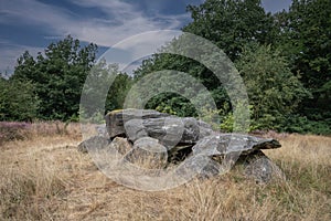 HunebedD41 or Dolmen D41, Emmen Noord municipality of Emmen