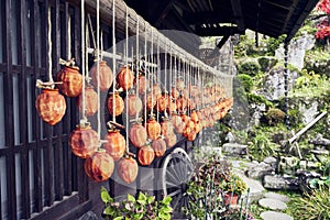 Hung persimmon air dry traditional Japanese food preparation