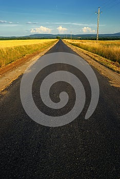 Hungarian countryside road