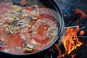 Hungarian fish soup