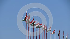 Hungarian Flags