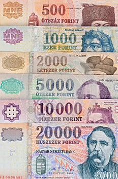 Hungarian Forint banknotes - background