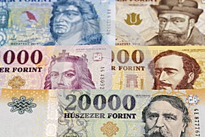 Hungarian forint a business background