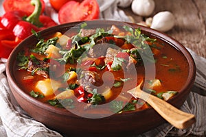 Hungarian goulash soup bograch close-up. horizontal