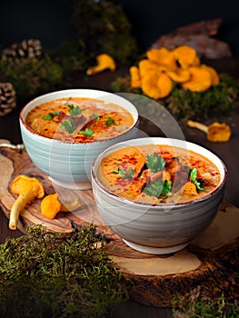 Hungarian mushroom soup with chanterelle mushrooms in bowls styled in forest theme