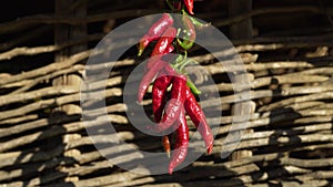 Hungarian red peppers dry in the sun