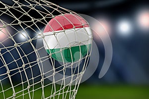 Hungarian soccerball in net