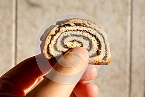 Hungarian stuffed rolled poppy seeds christmas cake name is beigli or bejgli