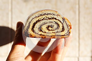 Hungarian stuffed rolled poppy seeds christmas cake name is beigli or bejgli