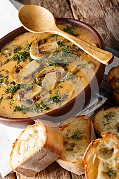 Hungarian thick mushroom soup with fresh dill closeup. vertical