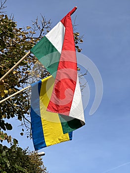 Hungarian and a yellow-blue flag on the pole