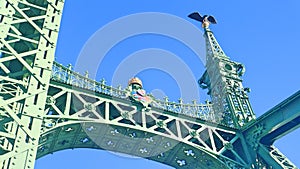 Hungary Budapest Liberty bridge along Rhine river and Danube river