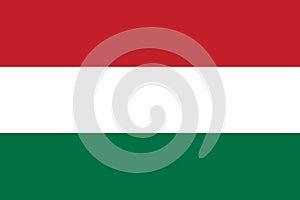 Hungary flag vector.Illustration of Hungary flag