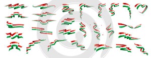 Hungary flag, vector illustration on a white background photo