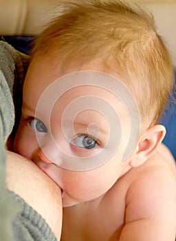 Hungry baby breast feeding closeup