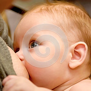 Hungry baby breast feeding closeup