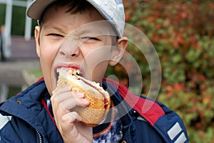 Hungry boy eating hot dog