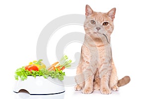 Hungry cat with mouse in mouth and vegan bowl